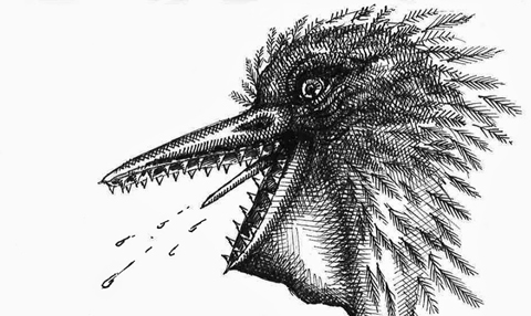 Spitting pelican pen and ink drawing taken from the exquisite corpse game Exquisite Godzilla